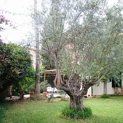 Appartement Garten Appartment