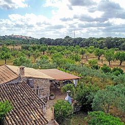 Vakantiehuis Higuera