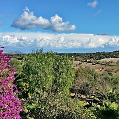 Vakantiehuis Finca "Mallorca Muro" mit Garten und Grill
