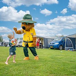 Esonstad | Basis campingplaats | C1