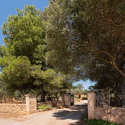Vakantiehuis Villa Es Tres Pins