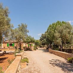 Vakantiehuis Villa Es Tres Pins