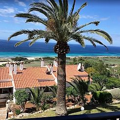 Alma Menorca