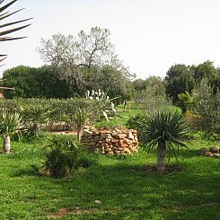 Vakantiehuis Ferienvilla mit Garten, Grill und Terrasse