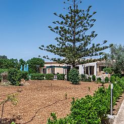 Vakantiehuis Schöne Villa in Cala Millor, Cala Bona