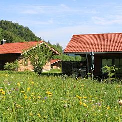 Chalets & Apartments Beim Waicher