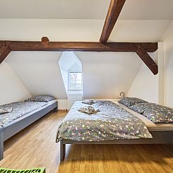 Appartement Růžová 6