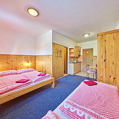 Appartement U Švýcarského dvora II