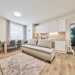 Appartement Černý Důl