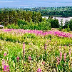 Vakantiehuis Ferienvilla mit Whirlpool
