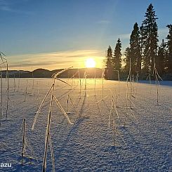 Fanbyn