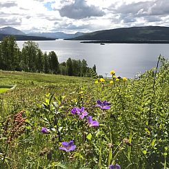 Anders in Tärnaby