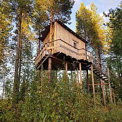 Appartement Aurora Lodge