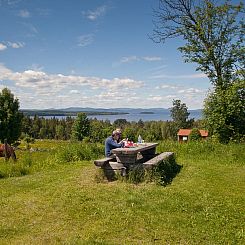 Vrijstaande woning in Tällberg