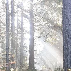 Vakantiehuisje in Hjorted