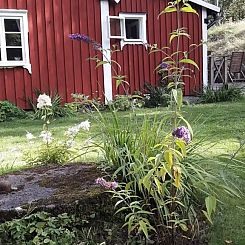 Vår Vik