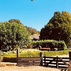 Vakantiehuisje in Zuidveld