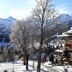 Appartement Wildbach