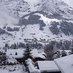 Appartement Lohnerhof AP C4