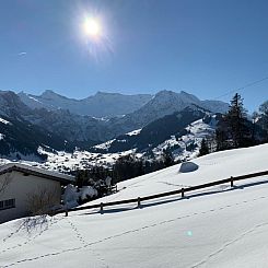 Vakantiehuis Panorama Adelboden
