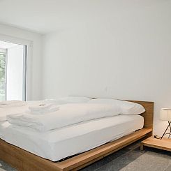 Appartement Apartment JungfrauCenter Schynige Platte