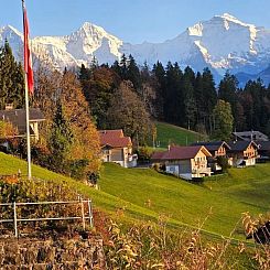 Appartement Chalet Friedheim