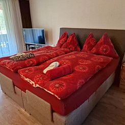 Appartement Haus Ahorni