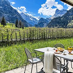 Appartement Bergluft