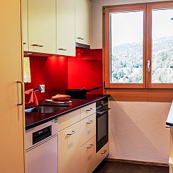 Appartement HasliRent, an dr Egg, (Hasliberg Reuti). 4.5 Zim