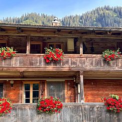 Appartement Wohnung Niesenblick