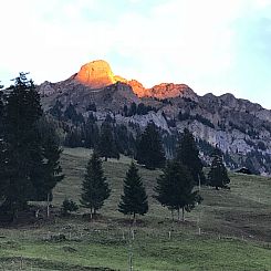 Vakantiehuis Hofuri, 1300m