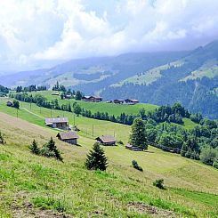 Appartement Bühl