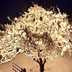 Appartement Ferienwohnung Gehrihorn