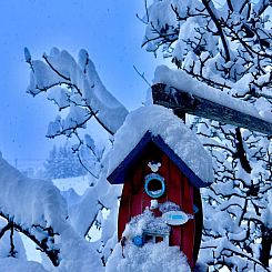 Appartement Ferienwohnung Gehrihorn