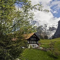 Appartement Abegglen