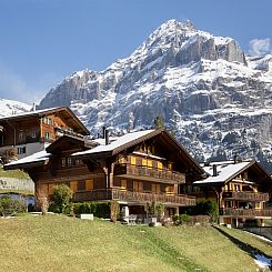 Appartement Chalet Cortina