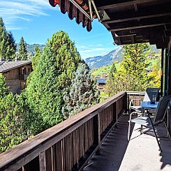 Appartement Chalet Spassvogel