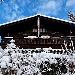 Vakantiehuis Chalet Tannegüetli