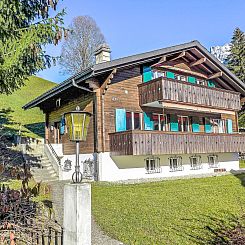 Appartement Chalet Bienli Mitte