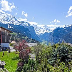 Appartement Rose Studio Y