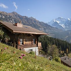 Appartement Jungfrau a d Ledi