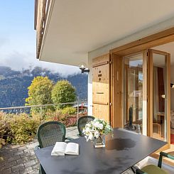 Appartement Silberhorn Apt. V