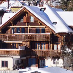 Appartement Chalet Graf Apt 1