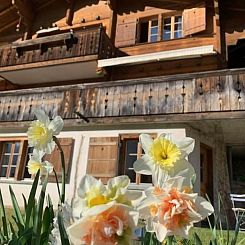 Appartement Sonnig und gemütlich