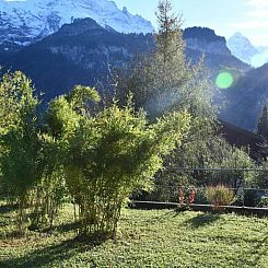 Vakantiehuis Chalet Wetterhorn