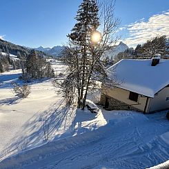 Appartement Ariel