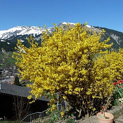 Appartement Bach