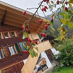Vakantiehuis in Grubenwald für max. 3 - 4 Pers.
