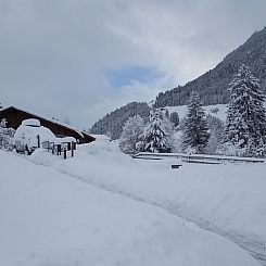 Appartement Burkhalter Appartement/Fewo, Dusche oder Bad, WC