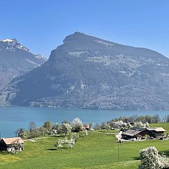 Appartement Panoramaferienwohnung Waldkircher
